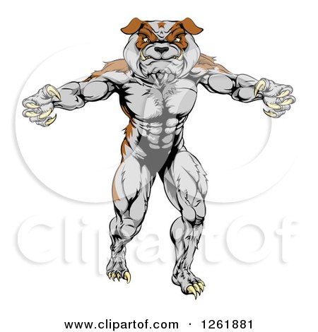 Clipart of a Muscular Bulldog Man Mascot Standing Upright - Royalty Free Vector Illustration by AtStockIllustration