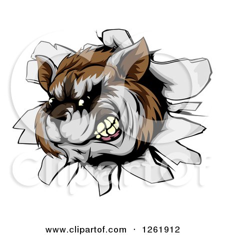 Clipart of an Aggressive Raccoon Breaking Through a Wall - Royalty Free Vector Illustration by AtStockIllustration