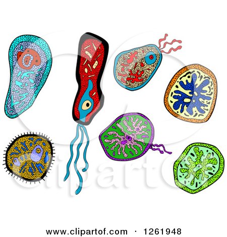 Clipart of Doodled Viruses or Amoebas - Royalty Free Vector Illustration by Vector Tradition SM