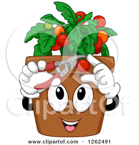 Clipart of a Happy Pot Cutting Cherry Tomatoes - Royalty Free Vector Illustration by BNP Design Studio