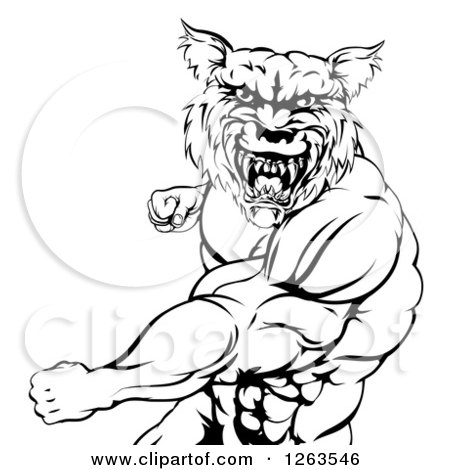 Clipart of a Black and White Vicious Muscular Wolf Man Punching - Royalty Free Vector Illustration by AtStockIllustration