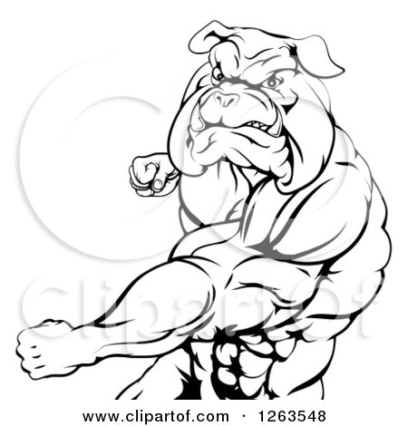 Clipart of a Black and White Angry Muscular Bulldog Man Punching - Royalty Free Vector Illustration by AtStockIllustration
