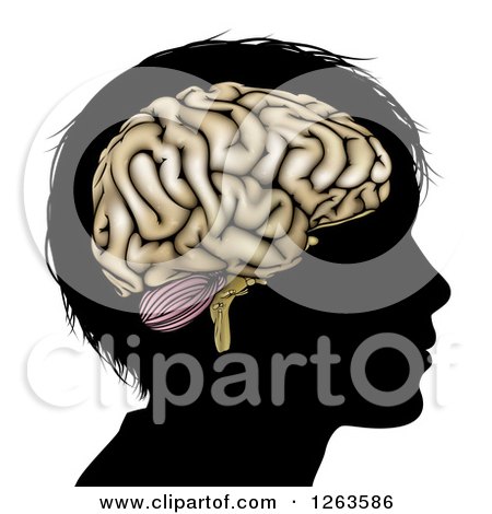 Clipart of a Silhouetted Boys Head with a Brain - Royalty Free Vector Illustration by AtStockIllustration