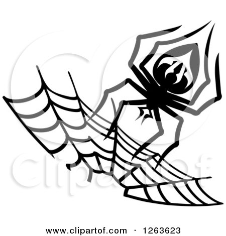 Clipart of a Black and White Spider and Web - Royalty Free Vector Illustration by Vector Tradition SM