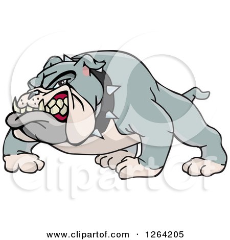 Clipart of a Tough Snarling Gray Bulldog - Royalty Free Vector Illustration by Dennis Holmes Designs