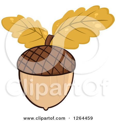 Clipart of an Acorn with Autumn Oak Leaves - Royalty Free Vector Illustration by Hit Toon