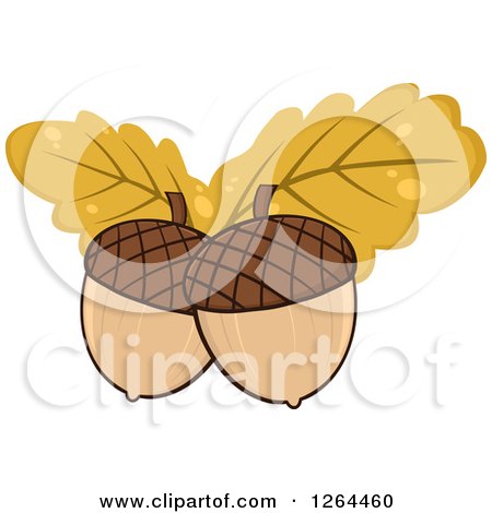 Clipart of Acorns with Yellow Autumn Oak Leaves - Royalty Free Vector Illustration by Hit Toon
