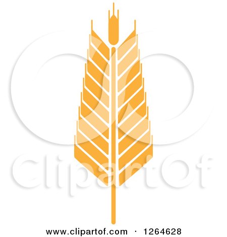 Clipart of a Whole Grain Ear - Royalty Free Vector Illustration by Vector Tradition SM