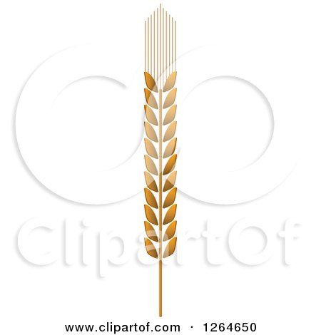 Clipart of a Whole Grain Ear - Royalty Free Vector Illustration by Vector Tradition SM
