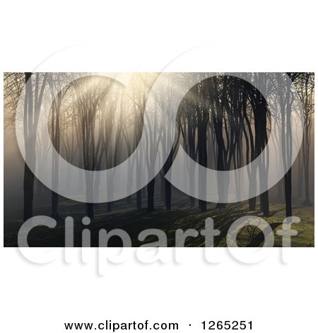 Clipart of 3d Sunlight Breaking Through Trees and Fog in the Woods - Royalty Free Illustration by KJ Pargeter