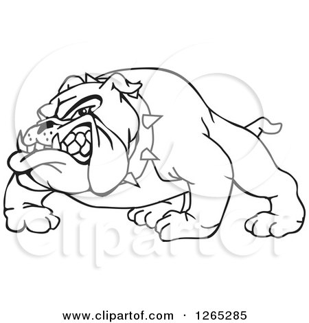 Clipart of a Black and White Aggressive Snarling Bulldog - Royalty Free Vector Illustration by Dennis Holmes Designs