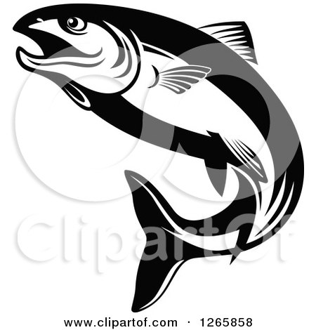 Clipart of a Black and White Salmon Fish - Royalty Free Vector Illustration by Vector Tradition SM
