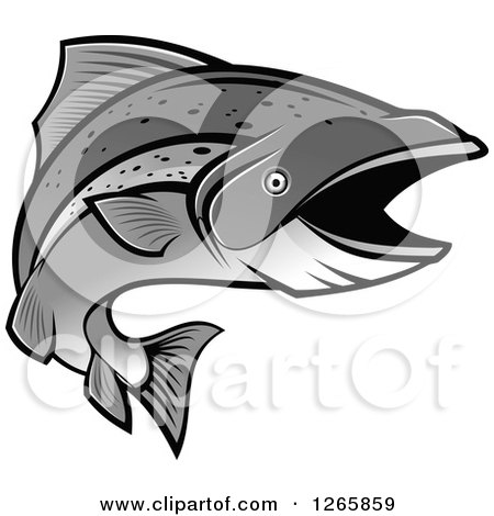 Clipart of a Grayscale Salmon Fish - Royalty Free Vector Illustration by Vector Tradition SM