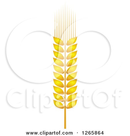 Clipart of a Strand of Wheat - Royalty Free Vector Illustration by Vector Tradition SM