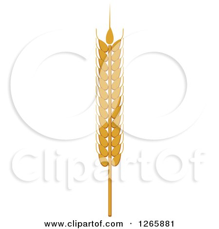 Clipart of a Strand of Wheat - Royalty Free Vector Illustration by Vector Tradition SM