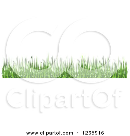 Clipart of a Green Grass Border - Royalty Free Vector Illustration by Vector Tradition SM