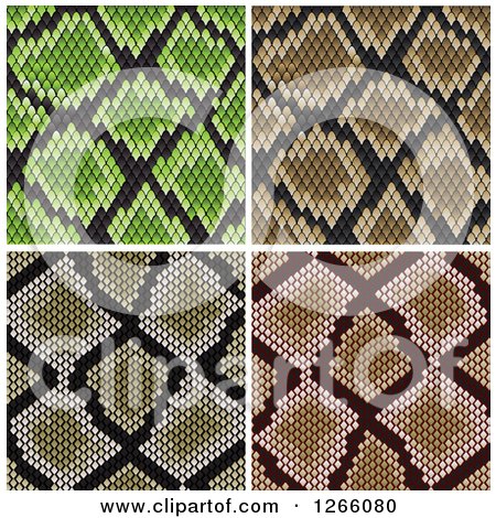Clipart of Backgrounds of Snake Skins - Royalty Free Vector Illustration by Vector Tradition SM