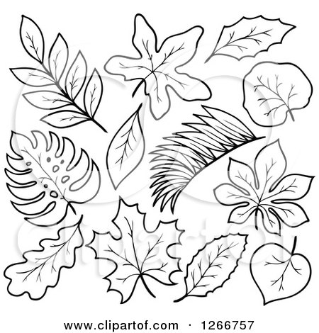 Clipart of Black and White Leaves - Royalty Free Vector Illustration by visekart