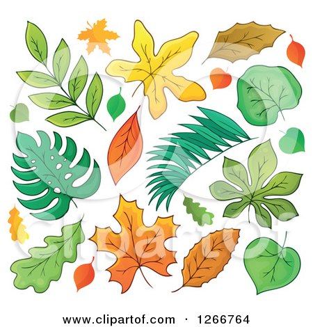 Clipart of Autumn Leaves - Royalty Free Vector Illustration by visekart