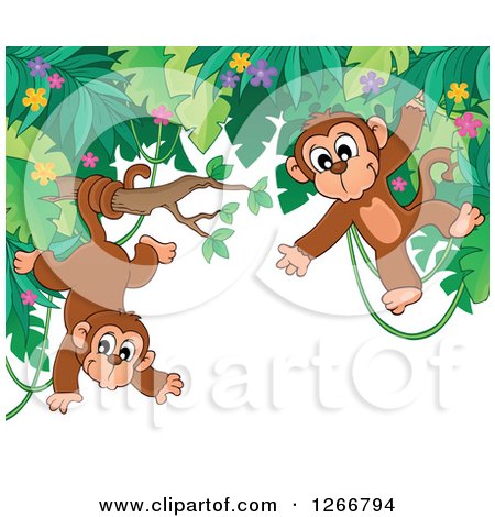 Clipart of a Border of Jungle Foliage with Playful Monkeys - Royalty Free Vector Illustration by visekart