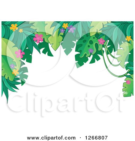 Clipart of a Border of Green Jungle Foliage and Colorful Flowers over White Text Space - Royalty Free Vector Illustration by visekart