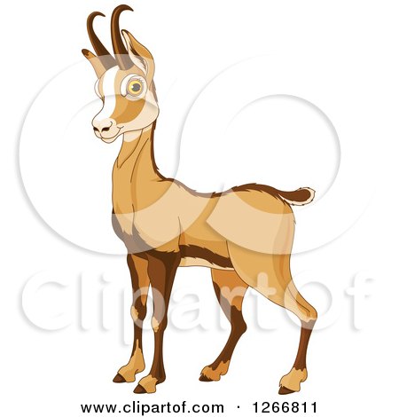 Clipart of a Cute Alert Rupicapra Antelope Chamois - Royalty Free Vector Illustration by Pushkin