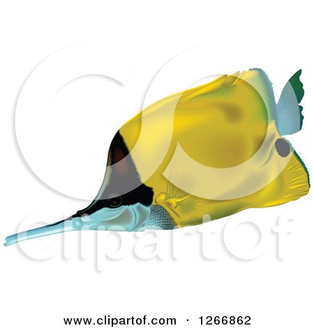 Clipart of a Yellow Longnose Butterflyfish - Royalty Free Vector Illustration by dero