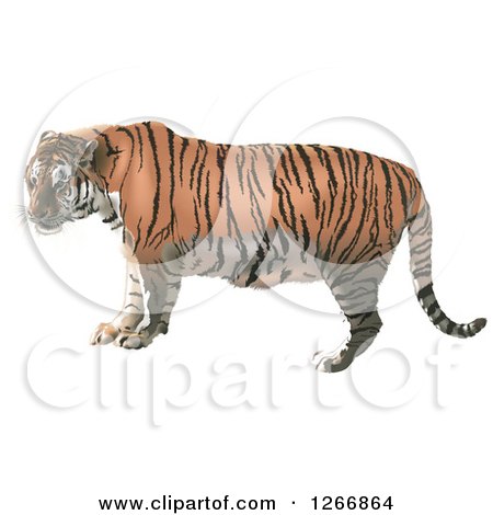 Clipart of a Tiger in Profile - Royalty Free Vector Illustration by dero