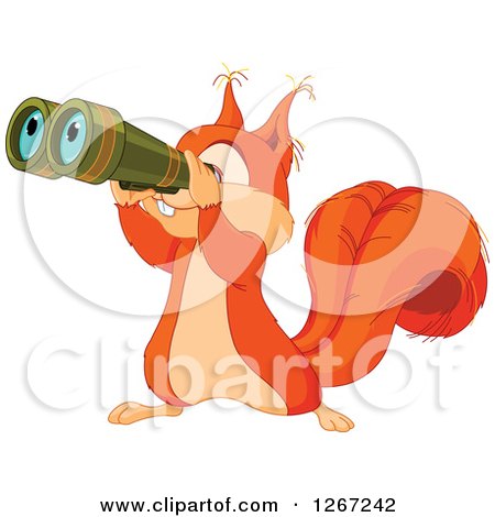 Cute Squirrel Looking Through Binoculars Posters, Art Prints