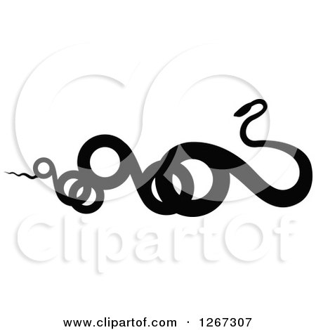 Clipart of a Black and White Curly Snake - Royalty Free Vector Illustration by Vector Tradition SM
