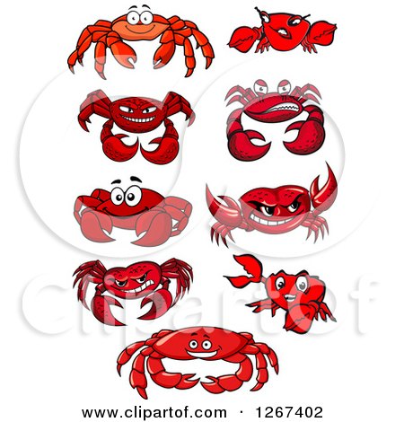 Clipart of Red Crab Designs - Royalty Free Vector Illustration by Vector Tradition SM