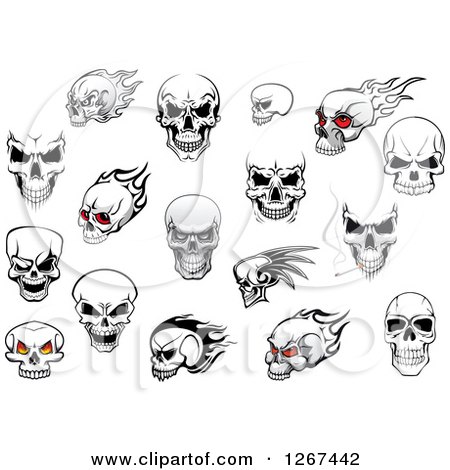 Clipart of Human Skull Designs - Royalty Free Vector Illustration by Vector Tradition SM
