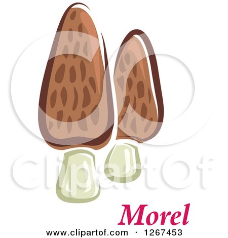 Clipart of Morel Mushrooms and Text - Royalty Free Vector Illustration by Vector Tradition SM
