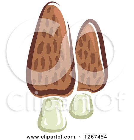 Clipart of Morel Mushrooms - Royalty Free Vector Illustration by Vector Tradition SM