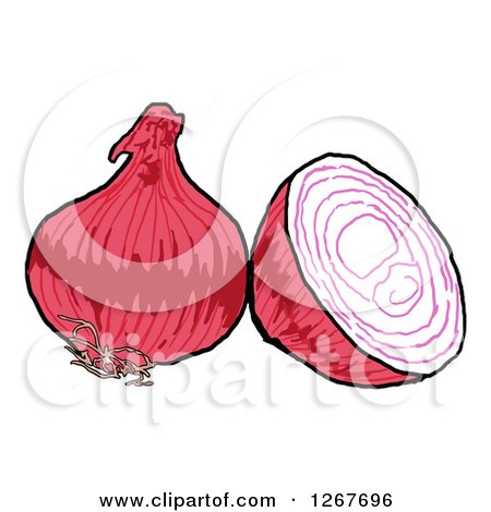 Clipart of Red Onions, Whole and Halved - Royalty Free Vector Illustration by LaffToon