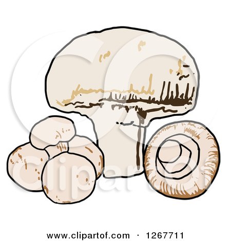 Clipart of Button Mushrooms - Royalty Free Vector Illustration by LaffToon