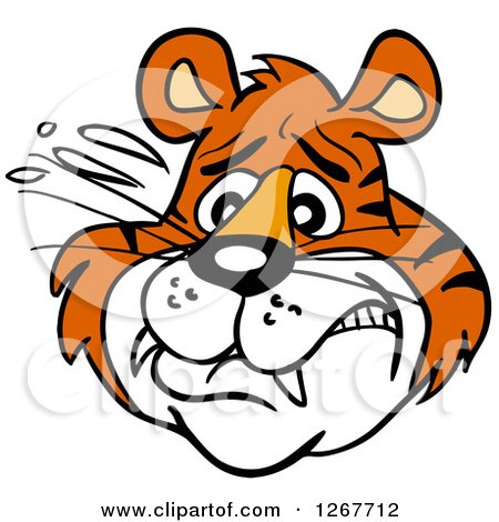 Clipart of a Scared Tiger Face - Royalty Free Vector Illustration by LaffToon
