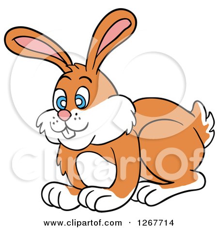 Clipart of a Happy Blue Eyed White and Orange Bunny Rabbit - Royalty Free Vector Illustration by LaffToon