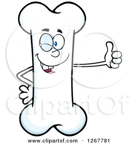 Clipart of a Happy Cartoon Bone Character Giving a Thumb up - Royalty Free Vector Illustration by Hit Toon