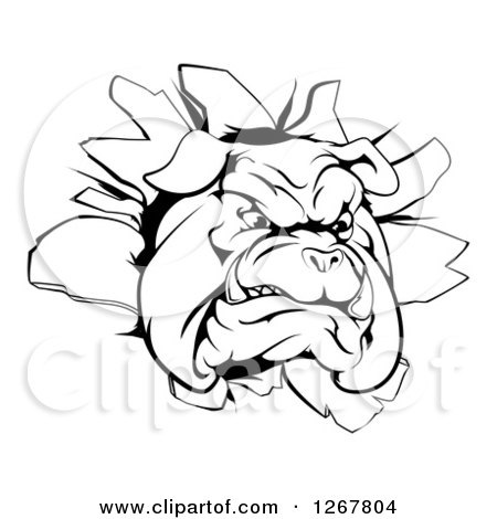 Clipart of a Black and White Bulldog Breaking Through a Wall - Royalty Free Vector Illustration by AtStockIllustration