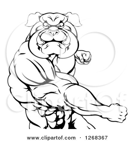 Clipart of a Black and White Tough Muscular Bulldog Man Punching - Royalty Free Vector Illustration by AtStockIllustration