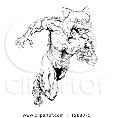 Clipart of a Black and White Angry Muscular Wildcat Mascot Running Upright - Royalty Free Vector Illustration by AtStockIllustration
