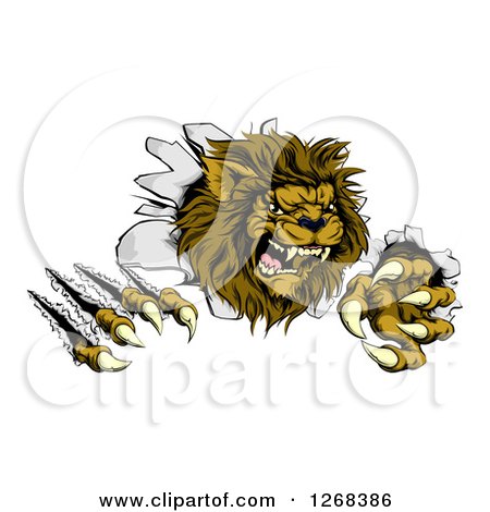 Clipart of a Roaring Lion Mascot Shredding Through a Wall - Royalty Free Vector Illustration by AtStockIllustration