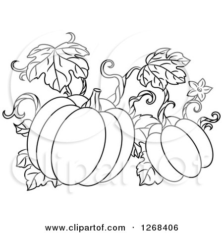 Clipart of a Black and White Pumpkin Vine - Royalty Free Vector Illustration by Vector Tradition SM