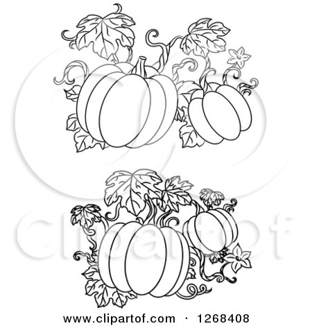 Clipart of Black and White Pumpkin Vines - Royalty Free Vector Illustration by Vector Tradition SM