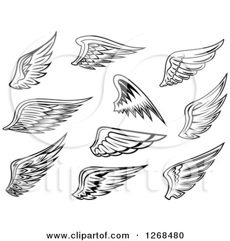 Clipart of Black and White Feathered Wings - Royalty Free Vector Illustration by Vector Tradition SM