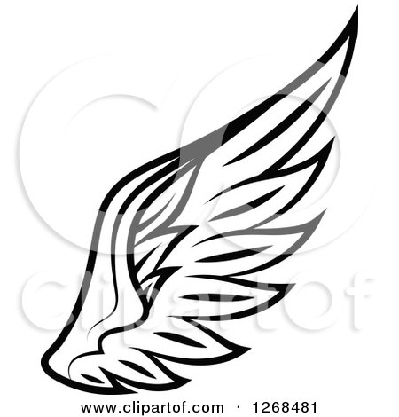 Clipart of a Black and White Feathered Wing - Royalty Free Vector Illustration by Vector Tradition SM