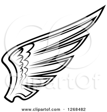 Clipart of a Black and White Feathered Wing 10 - Royalty Free Vector Illustration by Vector Tradition SM