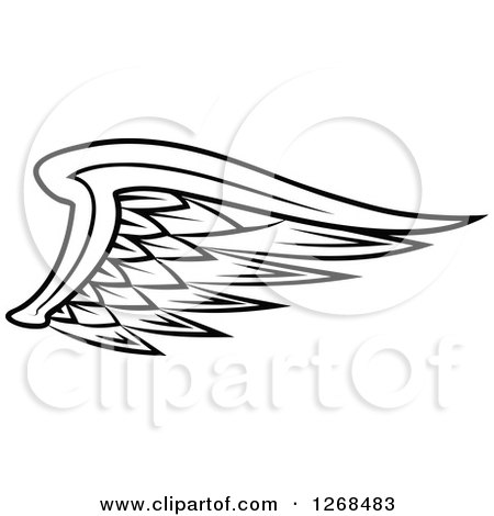 Clipart of a Black and White Feathered Wing 2 - Royalty Free Vector Illustration by Vector Tradition SM