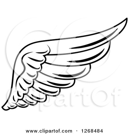 Clipart of a Black and White Feathered Wing 3 - Royalty Free Vector Illustration by Vector Tradition SM